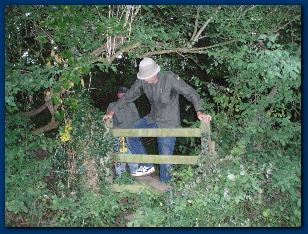 600x449 pixels (202K)